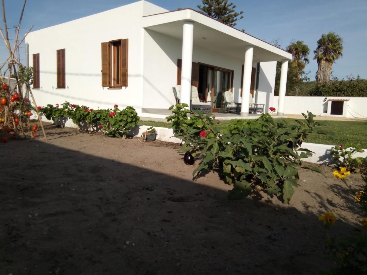 Chalet En Zahora/Canos De Meca Villa Dış mekan fotoğraf